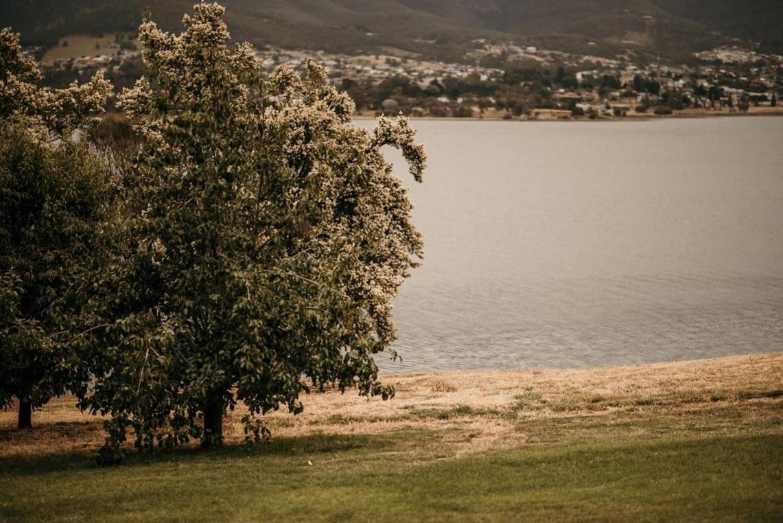 Otago Cottage Hobart Kültér fotó